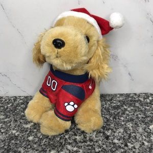 This is a Christmas puppy.